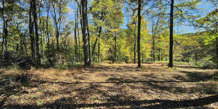 TBD W Graves Road, Bloomington, Indiana 47403,MLS,202542608