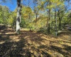 TBD W Graves Road, Bloomington, Indiana 47403,MLS,202542608