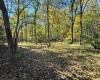 TBD W Graves Road, Bloomington, Indiana 47403,MLS,202542608