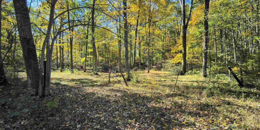 TBD W Graves Road, Bloomington, Indiana 47403,MLS,202542608