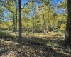 TBD W Graves Road, Bloomington, Indiana 47403,MLS,202542608