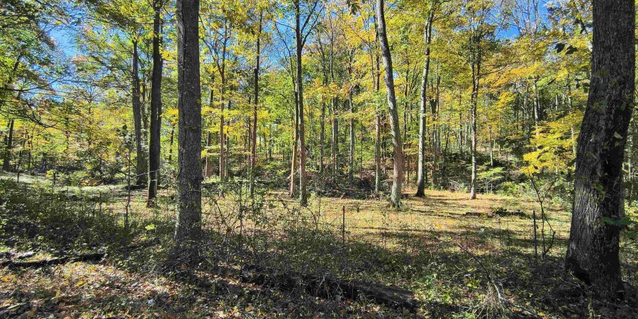 TBD W Graves Road, Bloomington, Indiana 47403,MLS,202542608