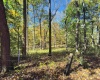 TBD W Graves Road, Bloomington, Indiana 47403,MLS,202542608
