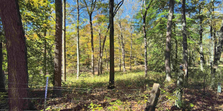TBD W Graves Road, Bloomington, Indiana 47403,MLS,202542608