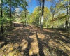 TBD W Graves Road, Bloomington, Indiana 47403,MLS,202542608