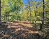 TBD W Graves Road, Bloomington, Indiana 47403,MLS,202542608