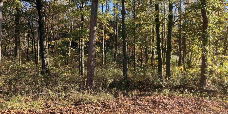 57 Sherwood Ln, Bedford, Indiana 47421,MLS,202542701