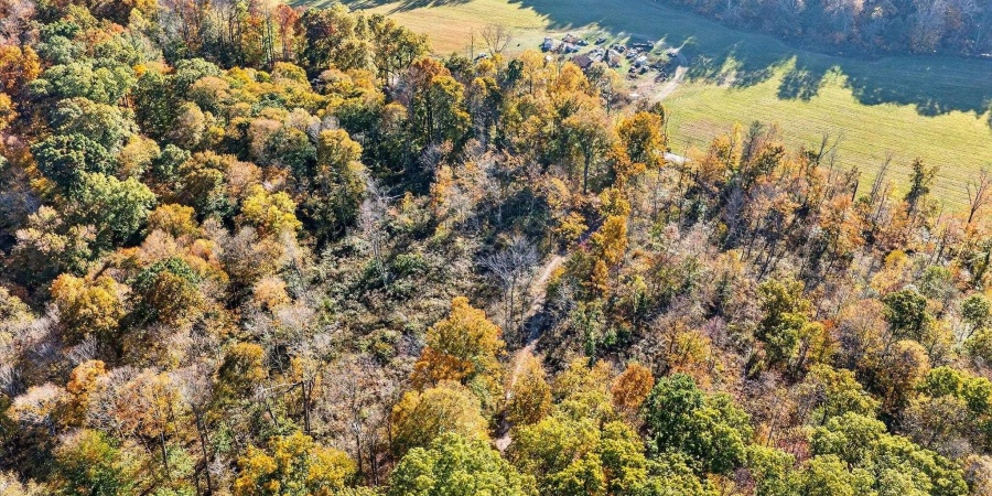 11413 E Sparks Road, Solsberry, Indiana 47459,MLS,202542747