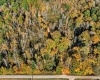 11413 E Sparks Road, Solsberry, Indiana 47459,MLS,202542747