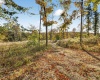 11413 E Sparks Road, Solsberry, Indiana 47459,MLS,202542747