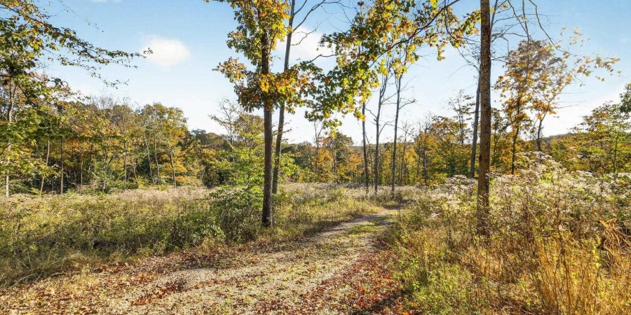 11413 E Sparks Road, Solsberry, Indiana 47459,MLS,202542747