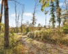 11413 E Sparks Road, Solsberry, Indiana 47459,MLS,202542747