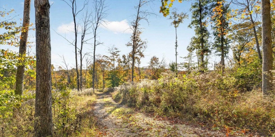 11413 E Sparks Road, Solsberry, Indiana 47459,MLS,202542747