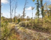 11413 E Sparks Road, Solsberry, Indiana 47459,MLS,202542747