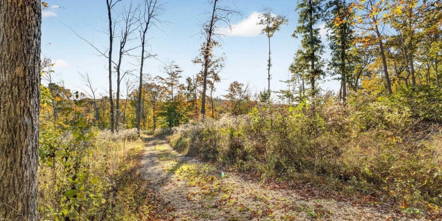11413 E Sparks Road, Solsberry, Indiana 47459,MLS,202542747