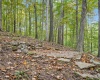 3801 E Mabels Way, Bloomington, Indiana 47408,MLS,202542873