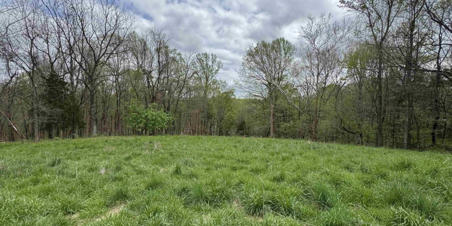 4638 VINEGAR HILL RD, Bedford, Indiana 47421,MLS,202513991