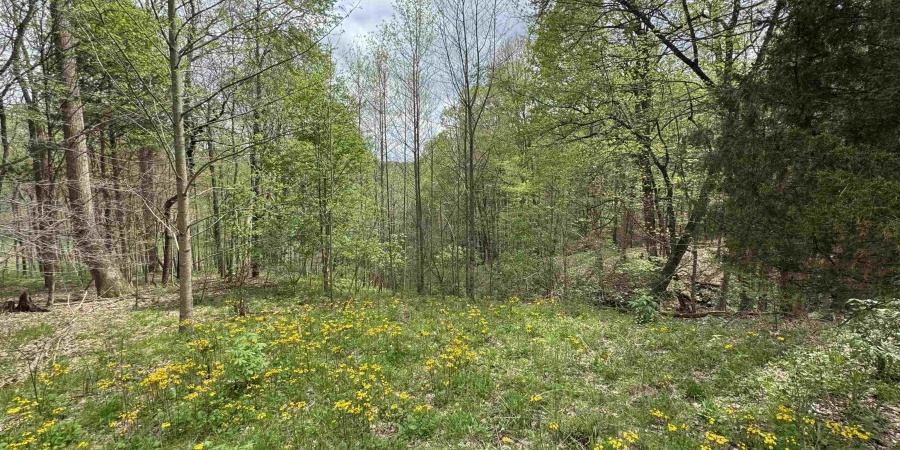 4638 VINEGAR HILL RD, Bedford, Indiana 47421,MLS,202513991