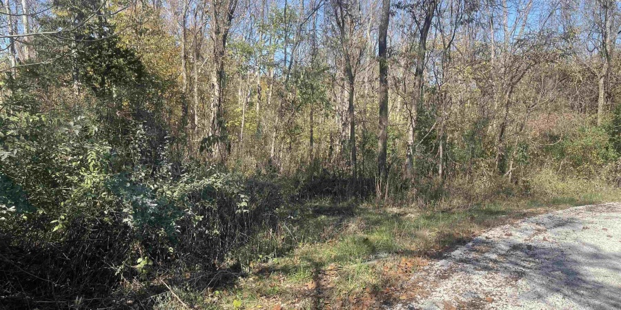 0 N Newark Road, Solsberry, Indiana 47459,MLS,202543313