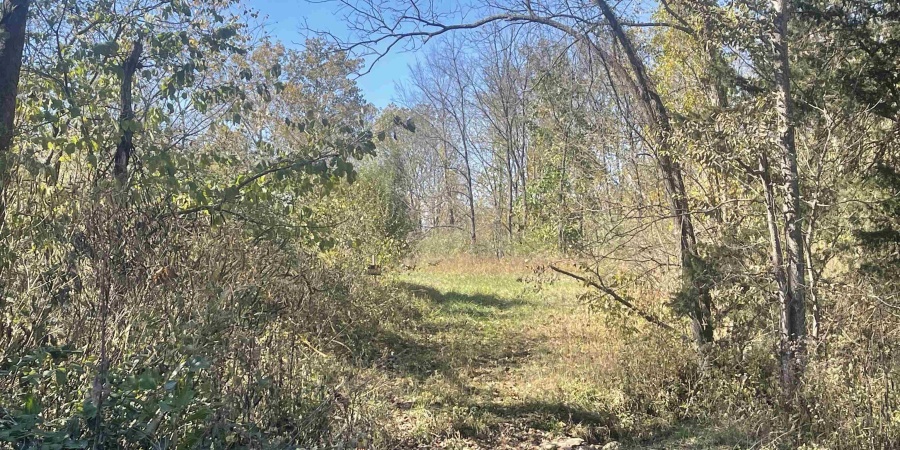 0 N Newark Road, Solsberry, Indiana 47459,MLS,202543313