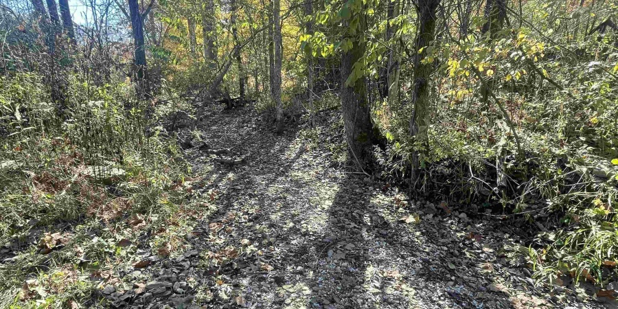 0 N Newark Road, Solsberry, Indiana 47459,MLS,202543313