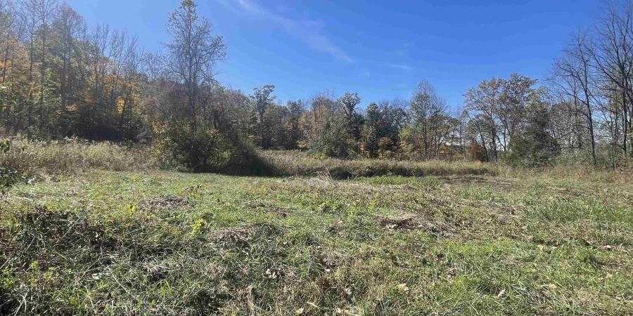 0 N Newark Road, Solsberry, Indiana 47459,MLS,202543313