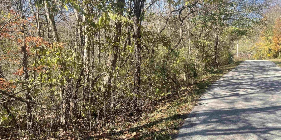 0 N Newark Road, Solsberry, Indiana 47459,MLS,202543313