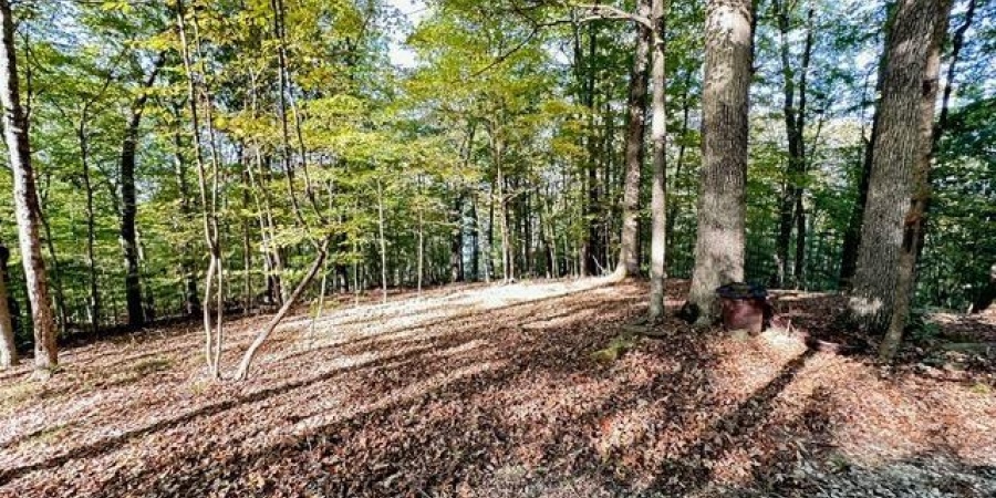 6900 N Richardson Road, Unionville, Indiana 47468,MLS,202543454