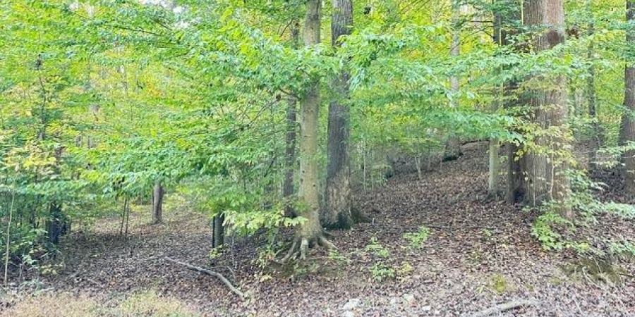 6900 N Richardson Road, Unionville, Indiana 47468,MLS,202543454