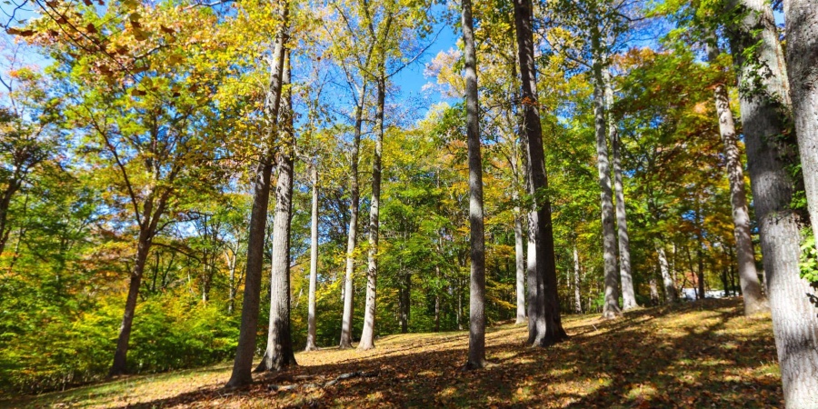 3897 E Bethel Lane, Bloomington, Indiana 47408,MLS,202543493