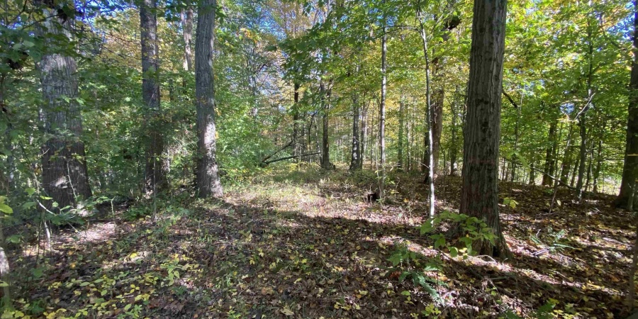 14.2 acres Cheyenne Trail, Gosport, Indiana 47433,MLS,202543747