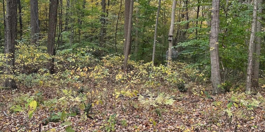 14.2 acres Cheyenne Trail, Gosport, Indiana 47433,MLS,202543747