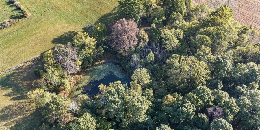 TBD S Burch Road, Bloomington, Indiana 47403,MLS,202543826