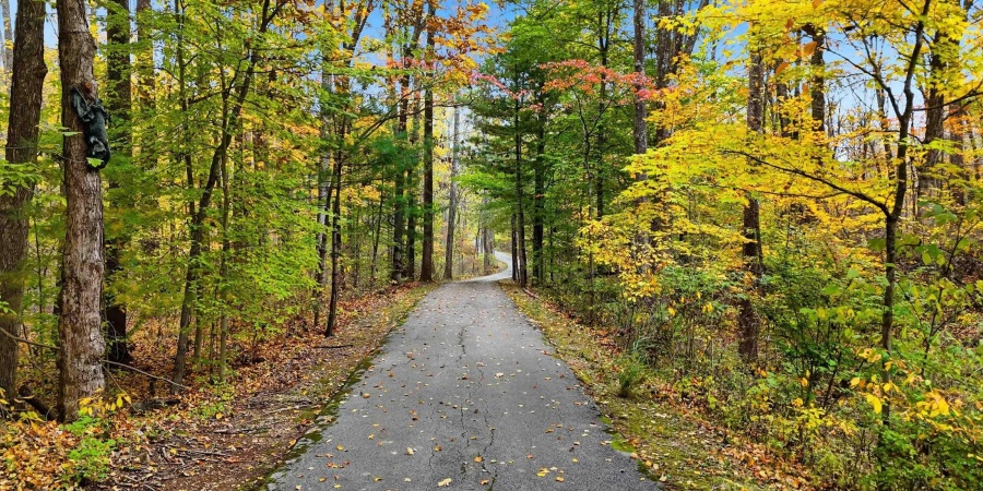 3801 N Bittersweet Drive, Bloomington, Indiana 47408,MLS,202543955