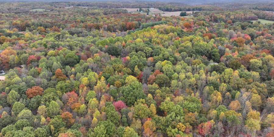 2 E St. Rd 58 Road, Bloomfield, Indiana 47424,MLS,202544134