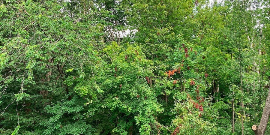 2344 E Winding Brook Circle, Bloomington, Indiana 47401,MLS,202544272