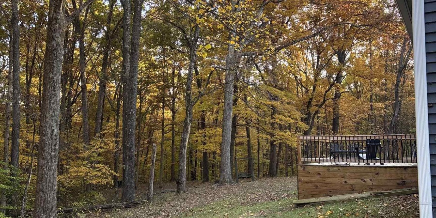 9451 S Chapel Hill Road, Heltonville, Indiana 47436,MLS,202544840