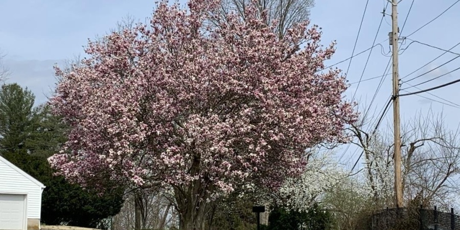 7 Mapleton Drive, Bedford, Indiana 47421-3436,MLS,202545160