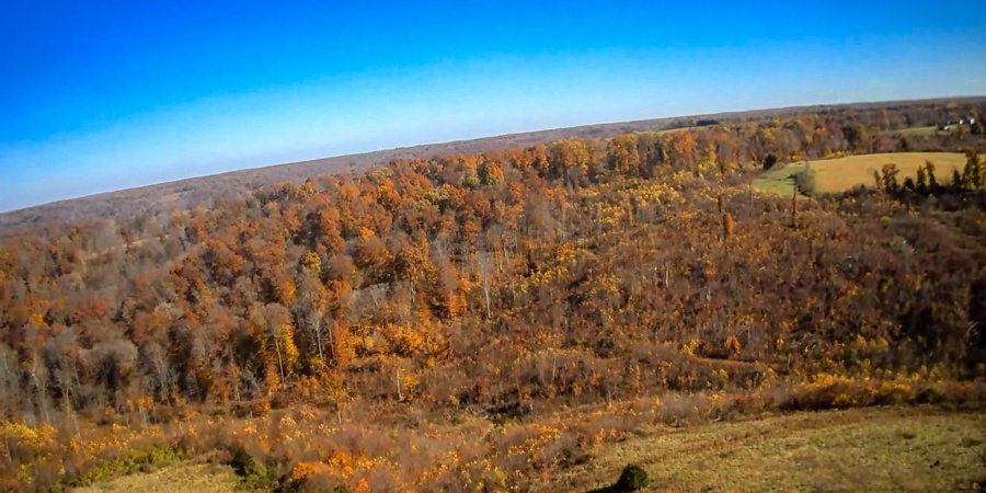 8247 E State Road 54, Bloomfield, Indiana 47424,MLS,202545167