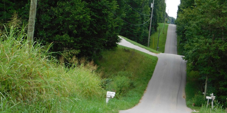 1541 S Leatherwood Road, Bedford, Indiana 47421,MLS,202545443