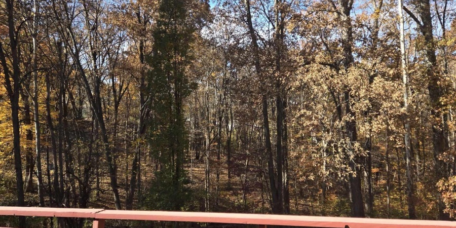 1605 E Woodland Drive, Bloomington, Indiana 47408,MLS,202545486