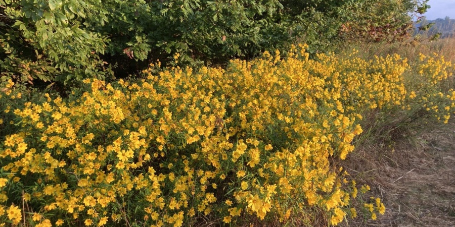 0 S Iron Mountain Road, Bloomfield, Indiana 47424,MLS,202545740