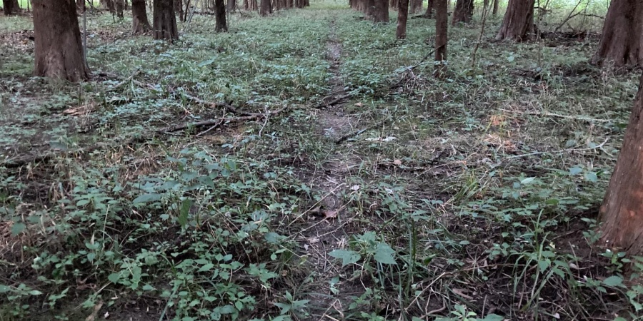 0 S Iron Mountain Road, Bloomfield, Indiana 47424,MLS,202545740