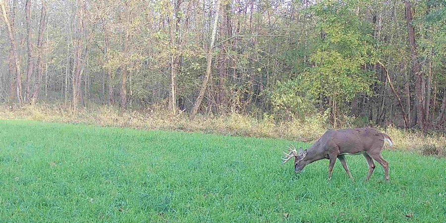 0 S Iron Mountain Road, Bloomfield, Indiana 47424,MLS,202545740