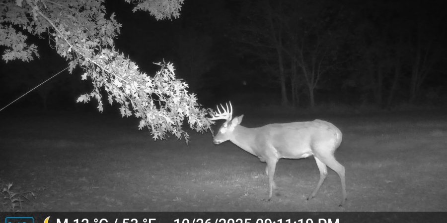 0 S Iron Mountain Road, Bloomfield, Indiana 47424,MLS,202545740