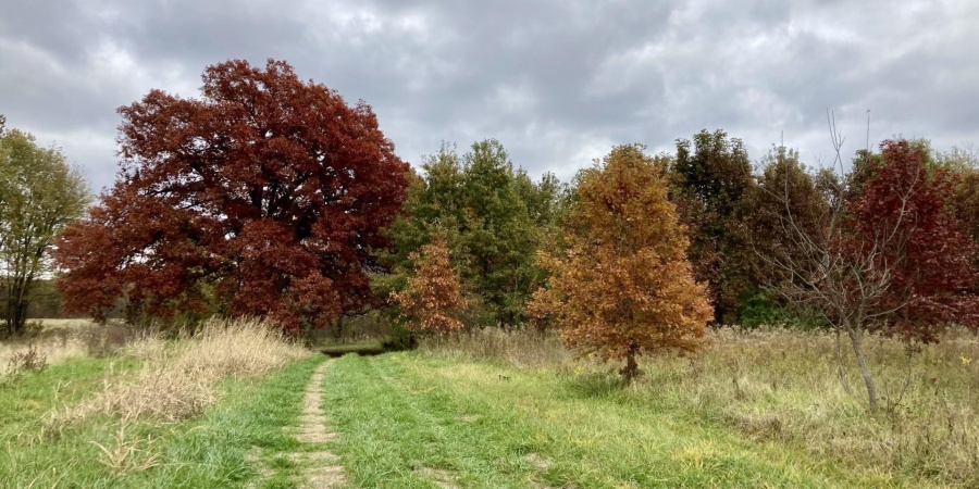 0 S Iron Mountain Road, Bloomfield, Indiana 47424,MLS,202545740