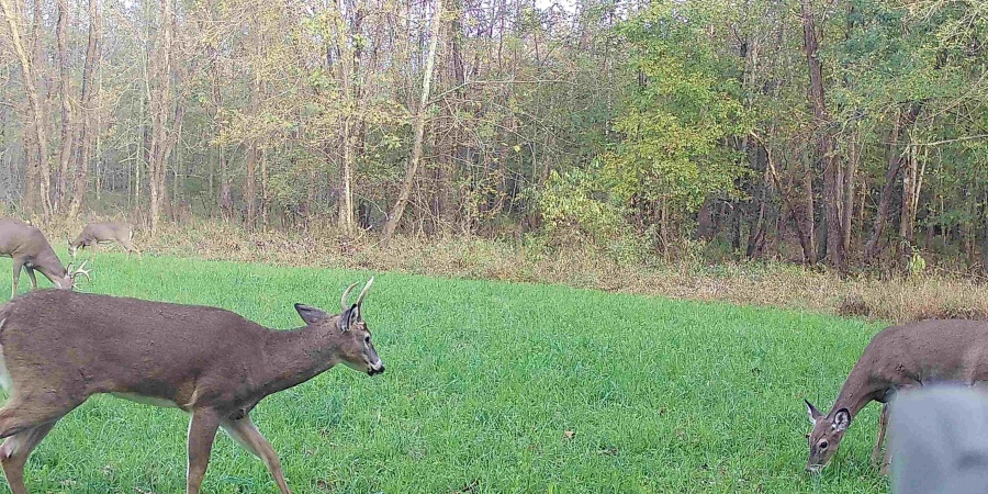 0 S Iron Mountain Road, Bloomfield, Indiana 47424,MLS,202545740