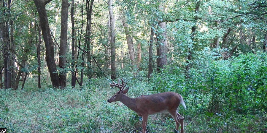 0 S Iron Mountain Road, Bloomfield, Indiana 47424,MLS,202545740