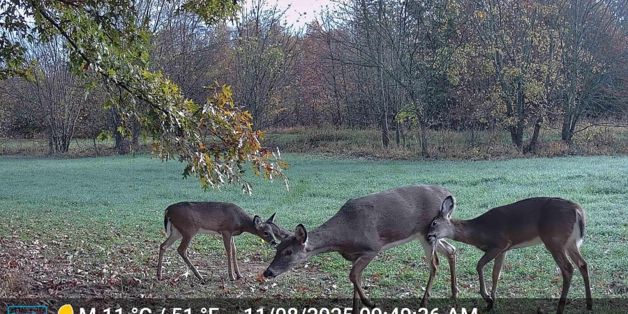 0 S Iron Mountain Road, Bloomfield, Indiana 47424,MLS,202545740