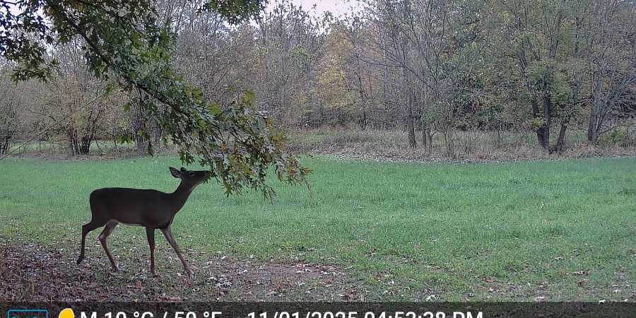 0 S Iron Mountain Road, Bloomfield, Indiana 47424,MLS,202545740